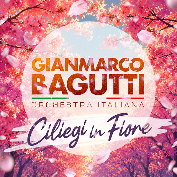 Ciliegi in fiore